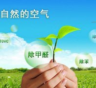 除甲醛對(duì)于住房安全和環(huán)境保護(hù)的作用有什么？