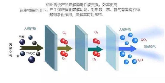光觸媒、生物酶、空氣凈化器，哪家除甲醛公司效果好？