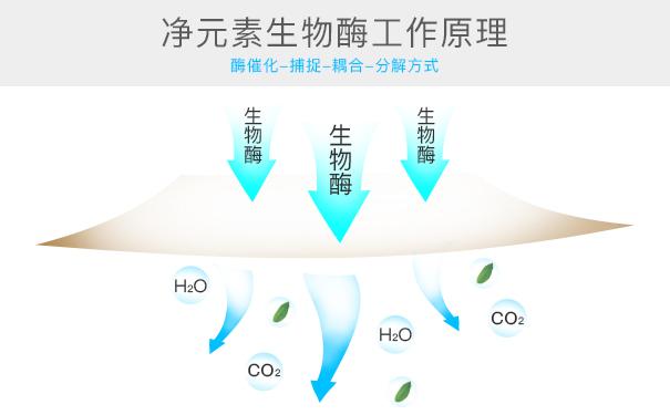 光觸媒、生物酶、空氣凈化器，哪家除甲醛公司效果好？